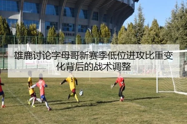 雄鹿讨论字母哥新赛季低位进攻比重变化背后的战术调整