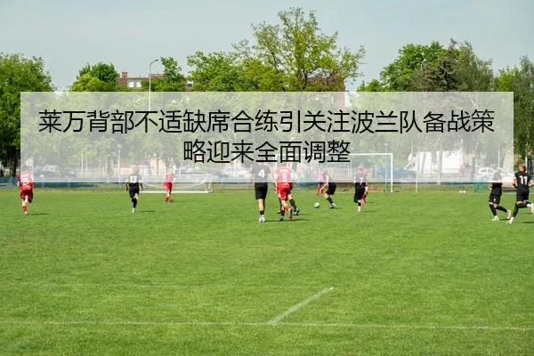 莱万背部不适缺席合练引关注波兰队备战策略迎来全面调整
